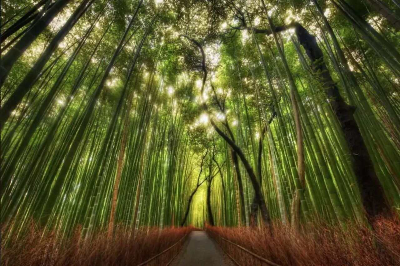Hikigi Kyoto Imperial Gardens Βίλα 0*,  Ιαπωνία